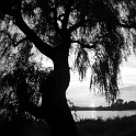DSCN7416-2003-07-07-hamburg  hamburg an der aussenalster : stadtansichten, hamburg, die-wege
