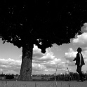 DSCN7676-03-2003-07-09-hamburg  self mit 2. kamera - fotospaziergang an der außenalster : stadtansichten, hamburg, außenalster, bäume