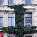 DSC 5194