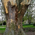 20190414 211540