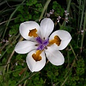 20190414 141021