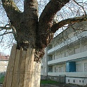 DSCN1518