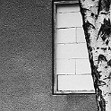 niehl_bonjour-tristesse