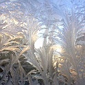 cd_eisblumen-winter-2003