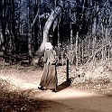 ci_niehler-volkspark