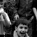 dscn046-6315-a