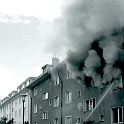 dscn6260-reeserfire