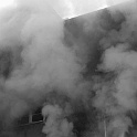 dscn6262-reeserfire